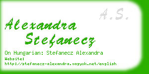 alexandra stefanecz business card